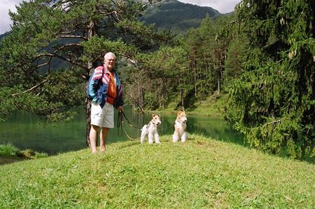 Foxterrier Drahthaar Zusammen in diese schone  bergwelt