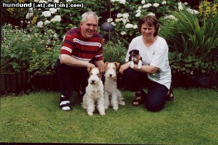 Foxterrier Drahthaar Meine mutter  Britt und Oma Juki und  Riny und Annerie.