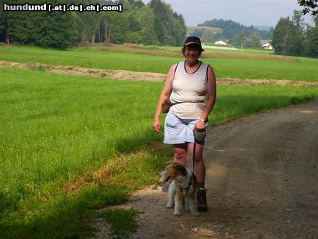 Foxterrier Drahthaar wir haben gut aus geruht auf diesem bank in die alpen und dan weiter spazieren in die schone bergwelt Osterreichs ! 