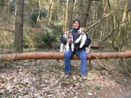 Foxterrier Drahthaar Timmie und Daisy Mutter und Tochter auf der Bank im Wald !