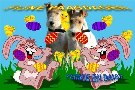 Foxterrier Drahthaar Wir wunschen euch allen frohe Ostertagen !Timmie en Daisy !