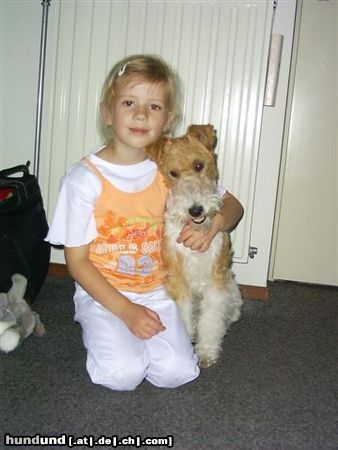 Foxterrier Drahthaar daB kleine madchen mit mir zusammen