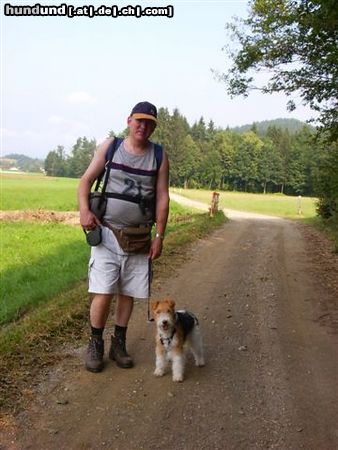 Foxterrier Drahthaar eine herliche bergwelt um hier zusammen spazieren zu gehen .