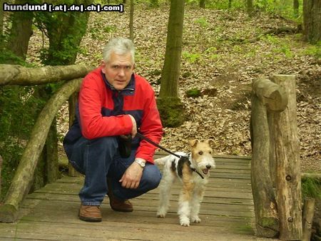 Foxterrier Drahthaar wir zwei sind die beste freunde zusammen