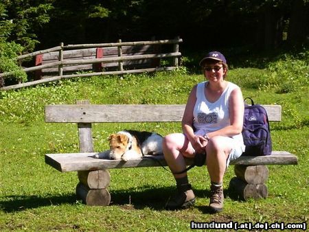 Foxterrier Drahthaar Wir zwei lieben uns fur immer und haben einander in die herzen geschlossen