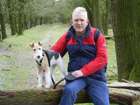 Foxterrier Drahthaar Zusammen auf einer baumstamme