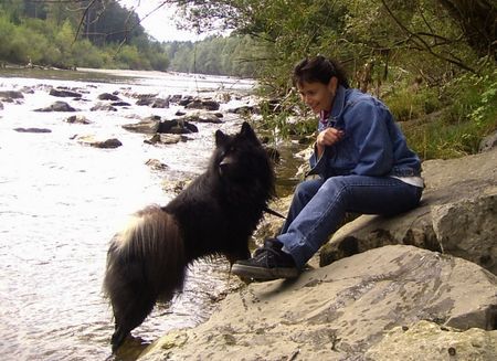 Eurasier Spaziergang an der Thur, Arass 3 Jahre