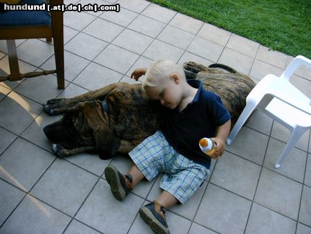 Fila Brasileiro Beste Freunde!