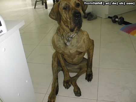 Fila Brasileiro