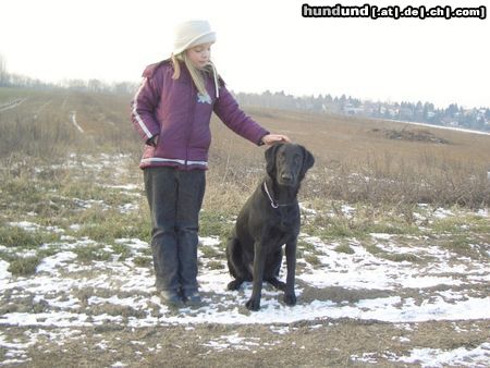 Flat Coated Retriever Zoi 9Monate