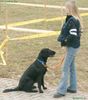 Flat Coated Retriever Hund