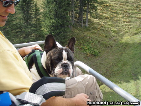 Französische Bulldogge Fortunato mit Herrchen auf einer Bergtour