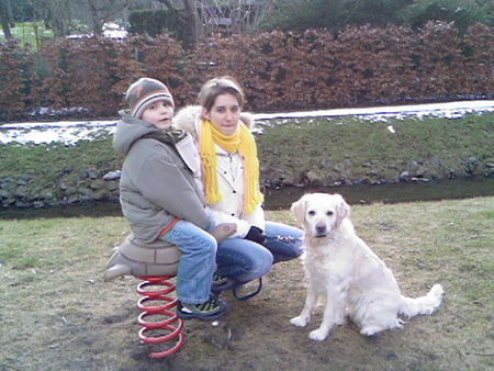 Golden Retriever Leon & Mia mit Laika - Goldi-Münsterländer Mix