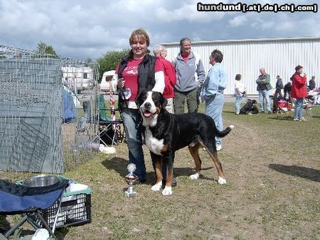 Grosser Schweizer Sennenhund Anton (Samson)  in Neumünster 12.06-2004