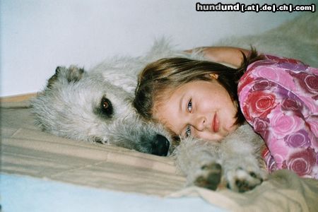 Irish Wolfhound Wir bemühen uns, gesunde, muskulöse und dennoch elegante Hunde zu züchten. Die Hunde leben bei uns im Haus und im Garten, wachsen mit liebevoller Betreuung in der Familie auf! Sie dürfen jeden Tag frei laufen, keine Zwingerhaltung! Selbstverständlich achten wir auch auf die richtige Paarung. Herz und Hüften unserer Hunde sind untersucht worden. Wenn Sie Interresse haben an so einem ausgeglichen sanften Riesen - dann melden Sie sich bei uns!