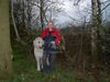 Irish Wolfhound Hund