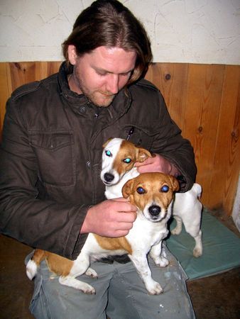 Jack-Russell-Terrier meine Fuzzis und ich!