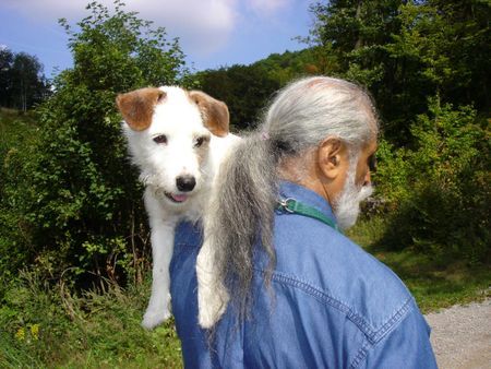 Jack-Russell-Terrier geschichten aus dem wienerwald 