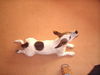 Jack-Russell-Terrier Hund