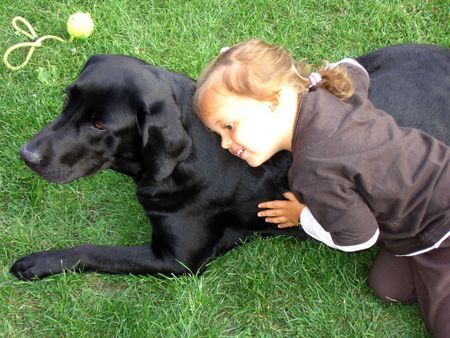 Labrador Retriever sonia und jaga