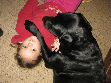 Labrador Retriever sonja und jaga - wir gehören zusammen