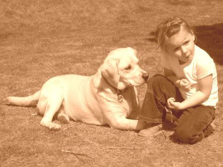 Labrador Retriever Boo&Lisa