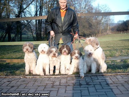 Lagotto Romagnolo 7 Lagotti auf einen Streich..., Zwinger 