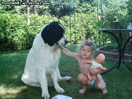 Landseer mal gucken, wer von uns beiden größer wird...