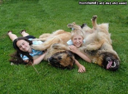 Leonberger wir spielen gern