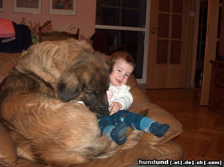 Leonberger moje corki :)