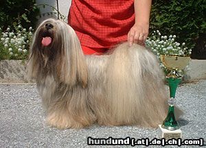 Lhasa Apso Ch.X´Shiva-Shankara vom Tschibu