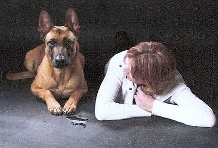 Malinois Kerou