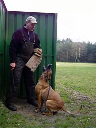 Malinois Kerou, verbellen