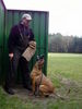 Malinois Hund