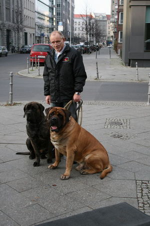 Mastiff Res Rusticae´s Jutta und I´ve got the Power