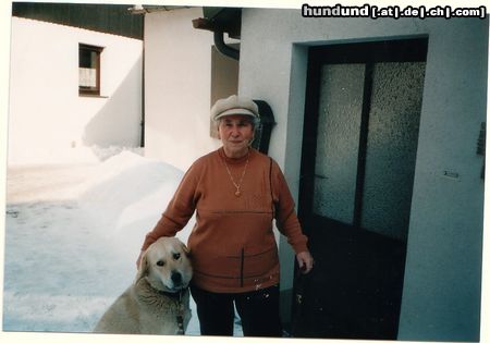 Mittelasiatischer Schäferhund caysy beim guckn *g*