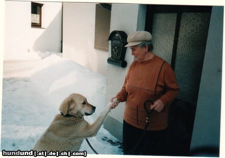 Mittelasiatischer Schäferhund caysy mit der oma 