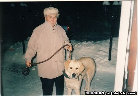 Mittelasiatischer Schäferhund oma mit caysy