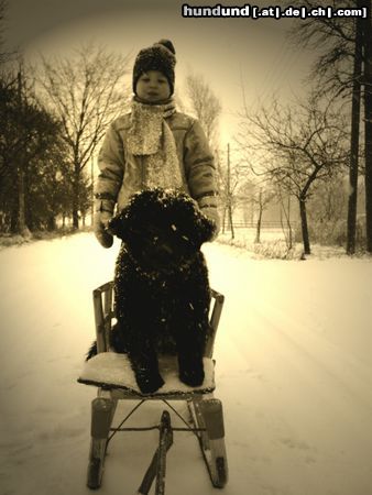 Neufundländer Luna und Niclas beim Schneeausflug