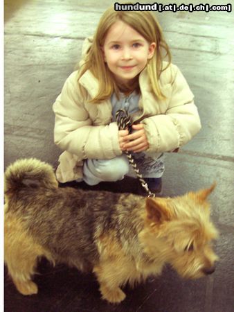 Norwich Terrier Domenikus Fee & Helena bei der IHA 2004  in Graz