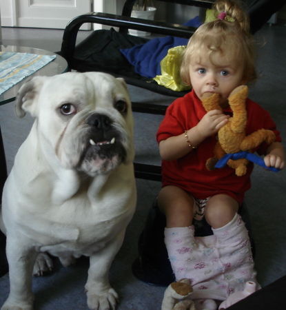 Olde English Bulldogge Meine Freundin und ich ( Anna u. Buddy)