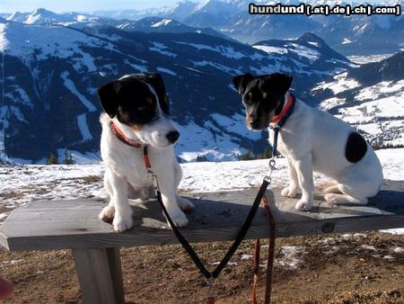 Parson-Russell-Terrier Pongo und seine Freundin Daisy auf dem Dach der Welt