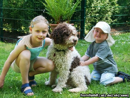 Perro de Agua Espanol Lena & Timo & Rasta