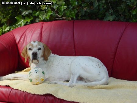 Pointer Wo bleiben Sie denn, Dr. Freud?