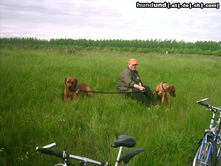 Rhodesian Ridgeback uiuiuui eine anstrengende fahrradtour!!!