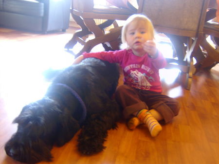 Riesenschnauzer  Naomi und Emilie beim Kuscheln