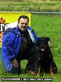 Rottweiler Arno von Griechenberg/W.H. 66,5cm/fünffacher Championat, 2 mal Weltsieger und einmal Europasieger. Rüde zum Decken