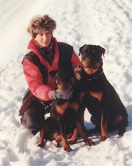 Rottweiler Winter 2001