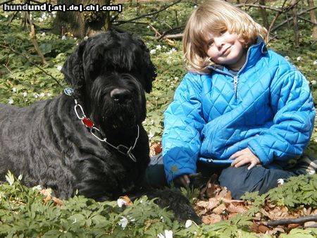 Russischer Schwarzer Terrier