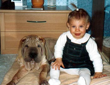 Shar Pei